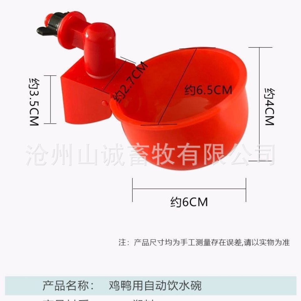 新型鸡鸭鹅自动饮水碗饮水器喂鸽子水碗鸟饮水器鹌鹑家禽养殖设备图2