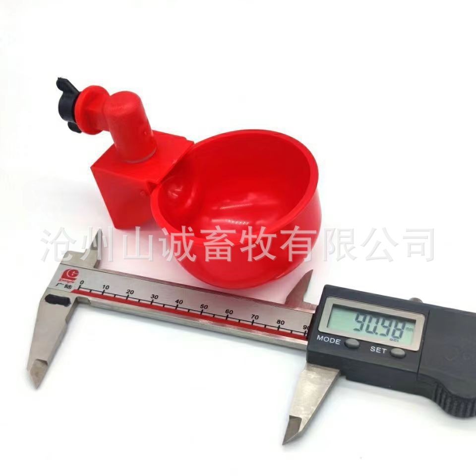 新型鸡鸭鹅自动饮水碗饮水器喂鸽子水碗鸟饮水器鹌鹑家禽养殖设备图3