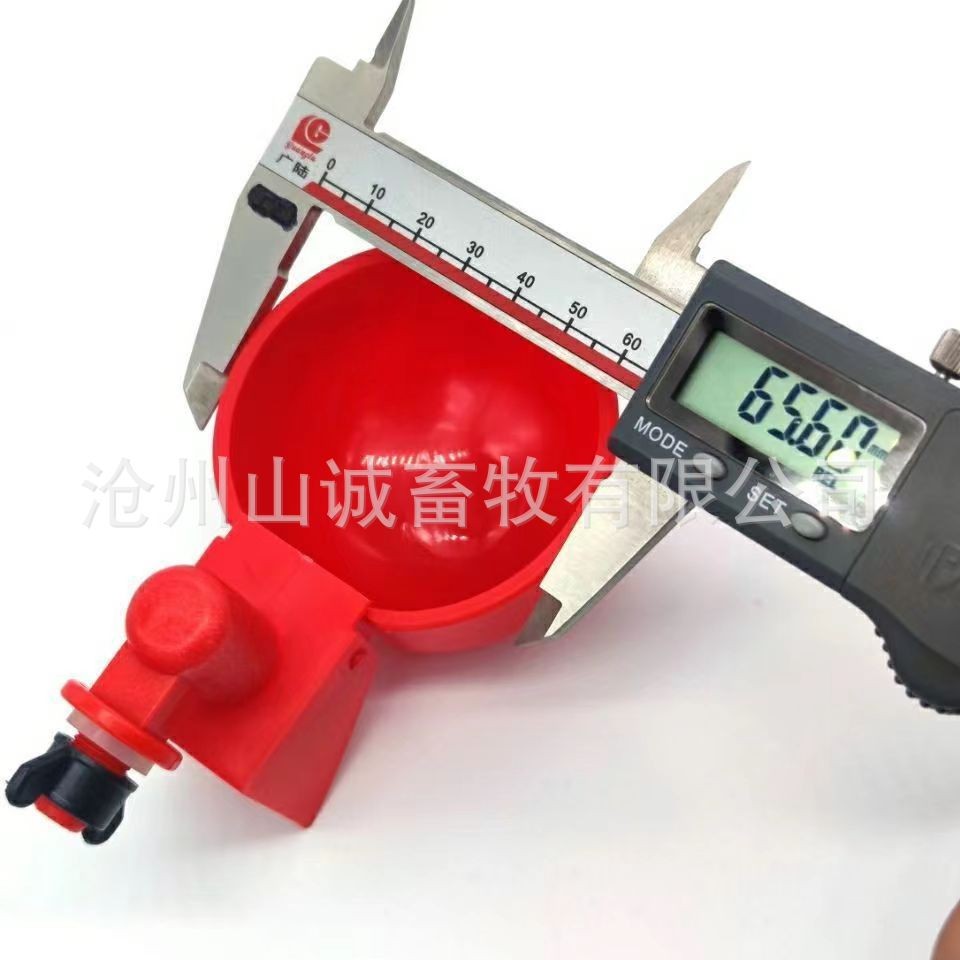 新型鸡鸭鹅自动饮水碗饮水器喂鸽子水碗鸟饮水器鹌鹑家禽养殖设备图4