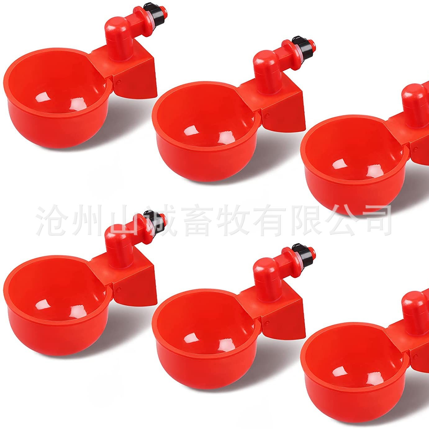 新型鸡鸭鹅自动饮水碗饮水器喂鸽子水碗鸟饮水器鹌鹑家禽养殖设备图5