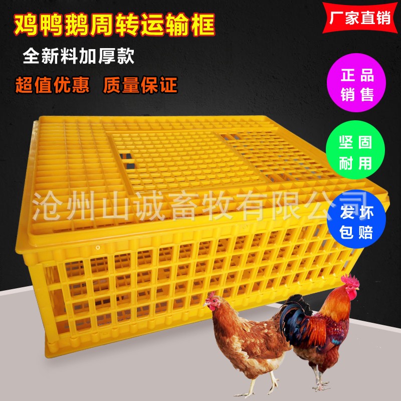 加长加厚成鸡笼 家用鸡鸭鹅周转箱 特大号运输笼塑料笼矮鸽鹌鹑笼图3