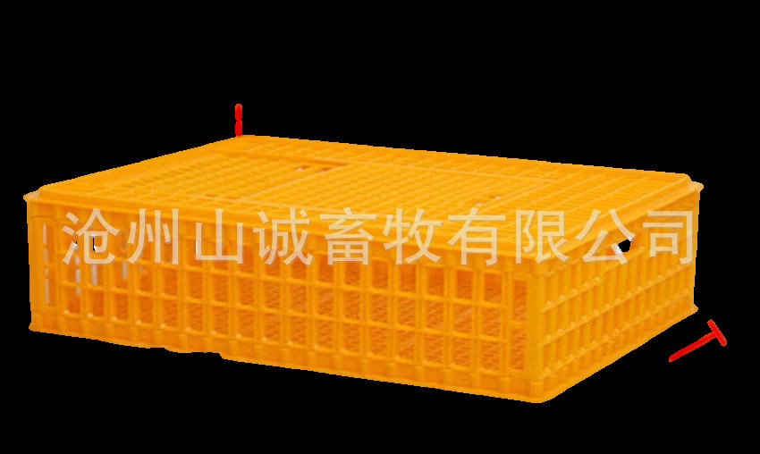 加长加厚成鸡笼 家用鸡鸭鹅周转箱 特大号运输笼塑料笼矮鸽鹌鹑笼图5