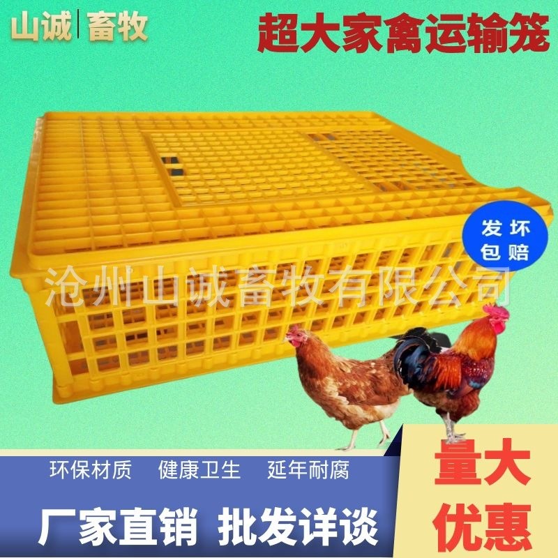 加长加厚成鸡笼 家用鸡鸭鹅周转箱 特大号运输笼塑料笼矮鸽鹌鹑笼图4