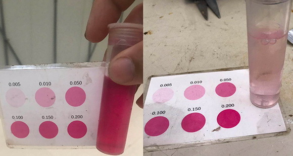 16蓝灵的纯氧溶氧器为何“难产”?1