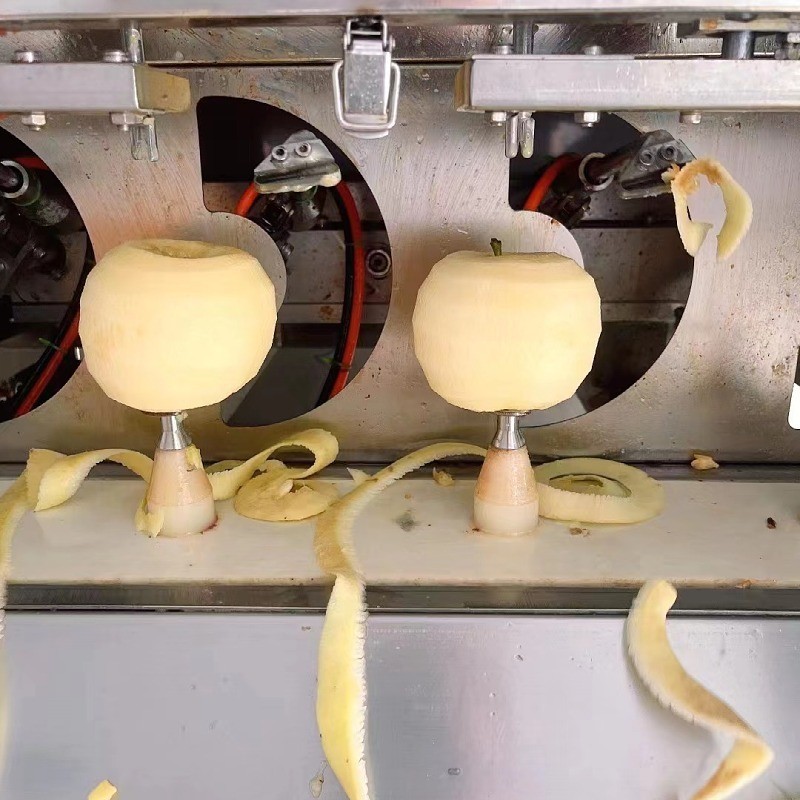 苹果去皮去核机 苹果去皮捅核分瓣机 苹果片加工成套生产线图4