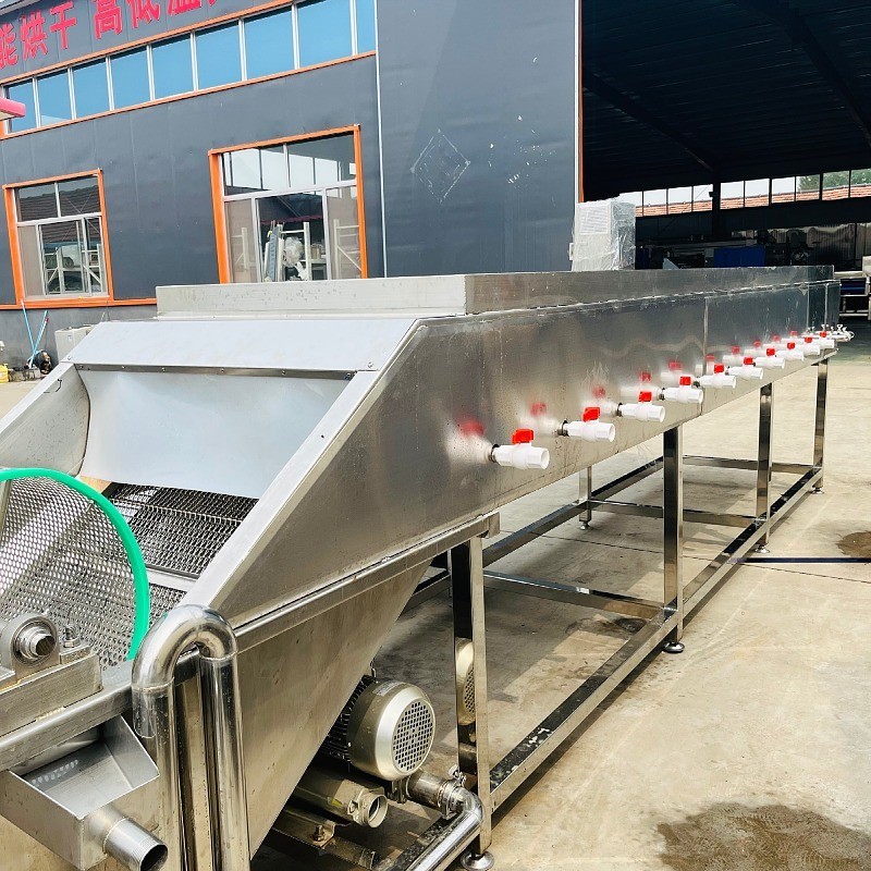 大姜专用高压清洗机 大姜清洗切片烘干线 大姜清洗加工设备图4