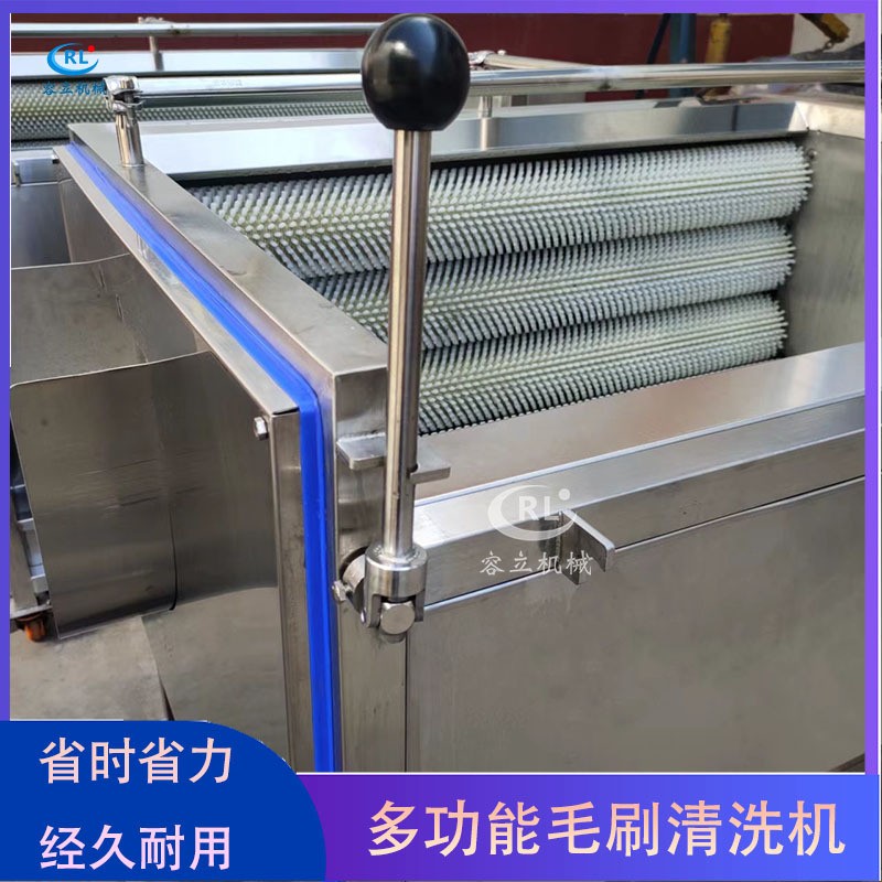现货毛刷清洗机 辊刷式土豆胡萝卜清洗去泥机 全自动红薯清洗机图4