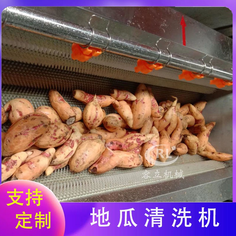 现货毛刷清洗机 辊刷式土豆胡萝卜清洗去泥机 全自动红薯清洗机图3