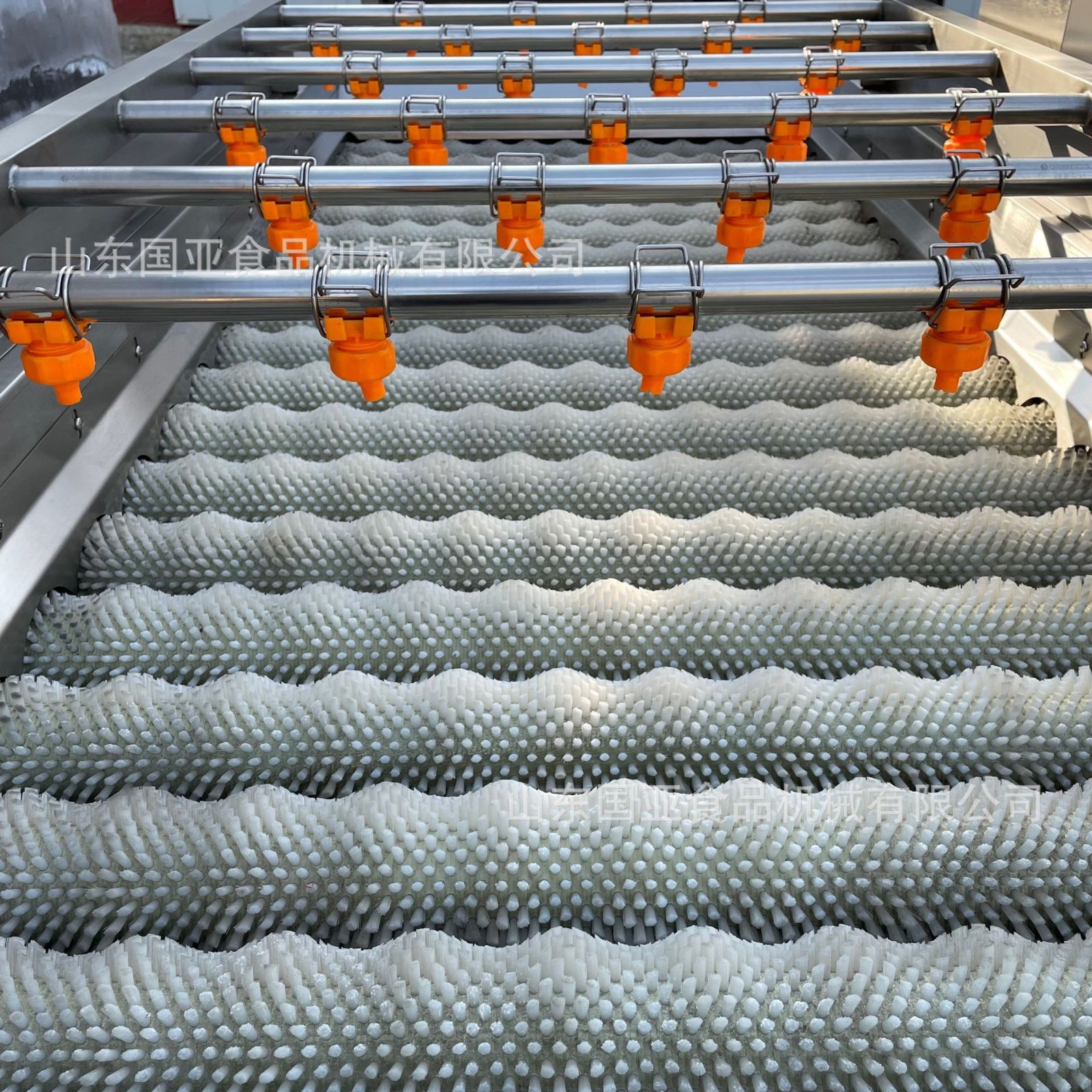 土豆红薯地瓜平行毛辊清洗机 山楂清洗机 黄桃软毛刷无损伤清洗机图5