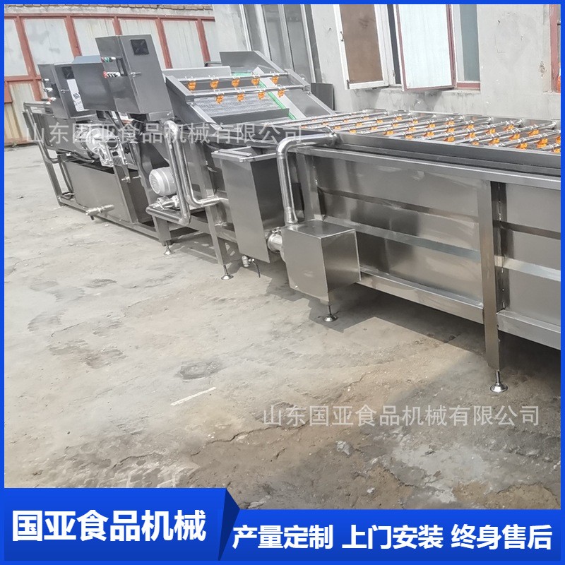 全自动小龙虾气泡清洗机 大姜清洗机 果蔬高压喷淋净菜设备图2