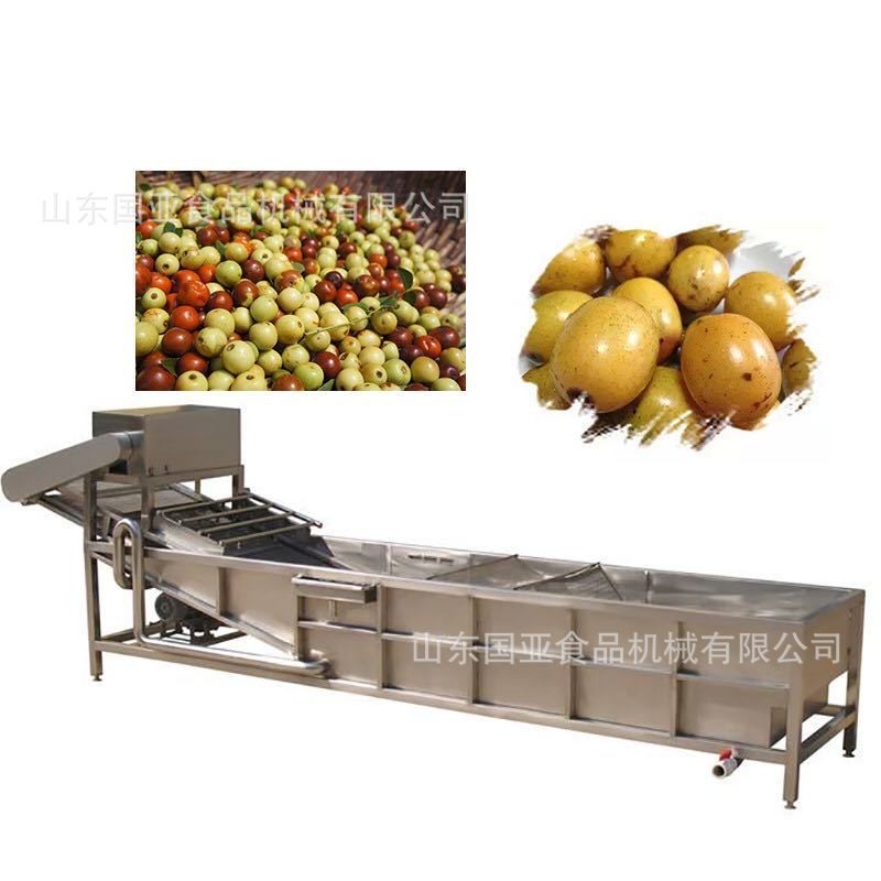 全自动小龙虾气泡清洗机 大姜清洗机 果蔬高压喷淋净菜设备图5