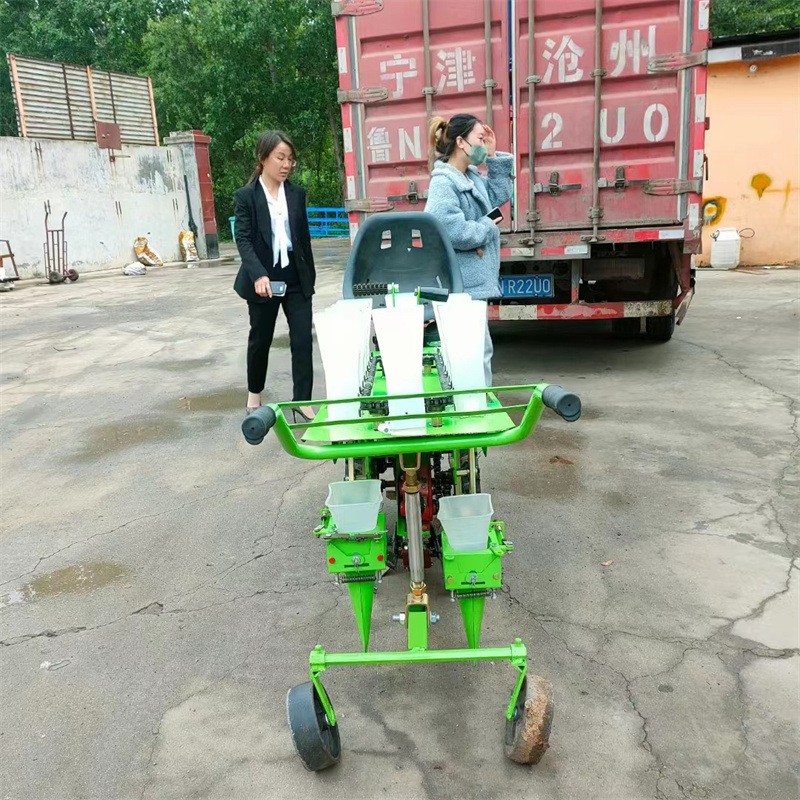 蔬菜瓜果苗栽苗机 乘坐式辣椒栽苗机 自走式双行辣椒苗移栽机图4