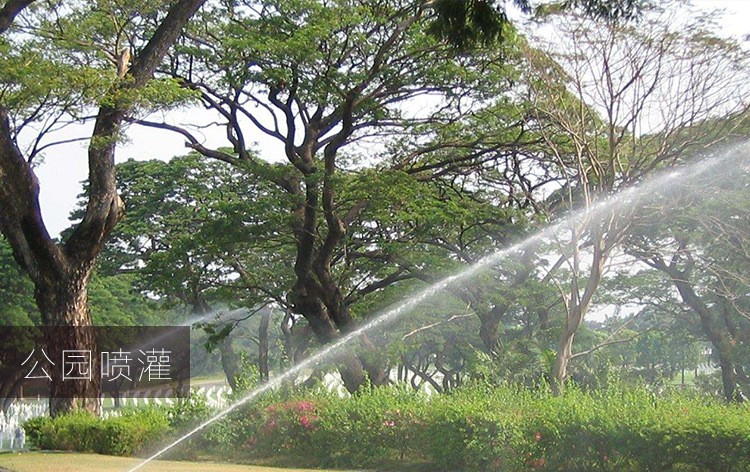 美国5004地埋式旋转喷头喷头美国6分草坪自动灌溉地埋式旋转喷头图4