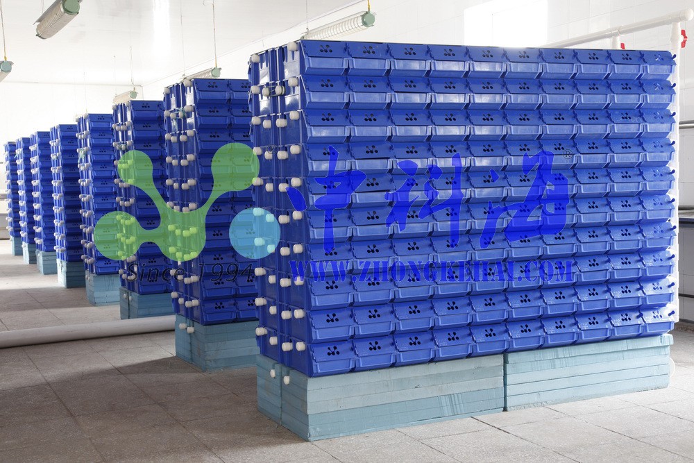 螃蟹反季节养殖设备 环保养殖设备 高密度循环水养殖设备图3