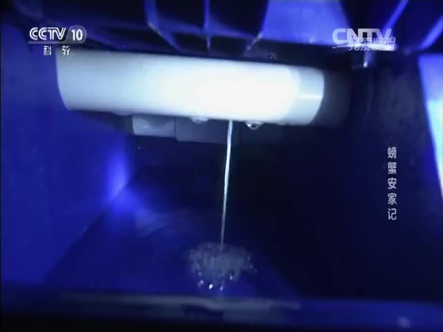 螃蟹反季节养殖设备 环保养殖设备 高密度循环水养殖设备图2