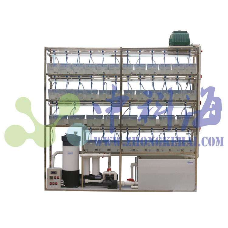 斑马鱼饲养系统，水生物实验系统图3