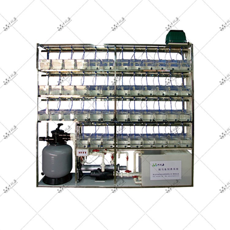 斑马鱼饲养系统，水生物实验系统图4