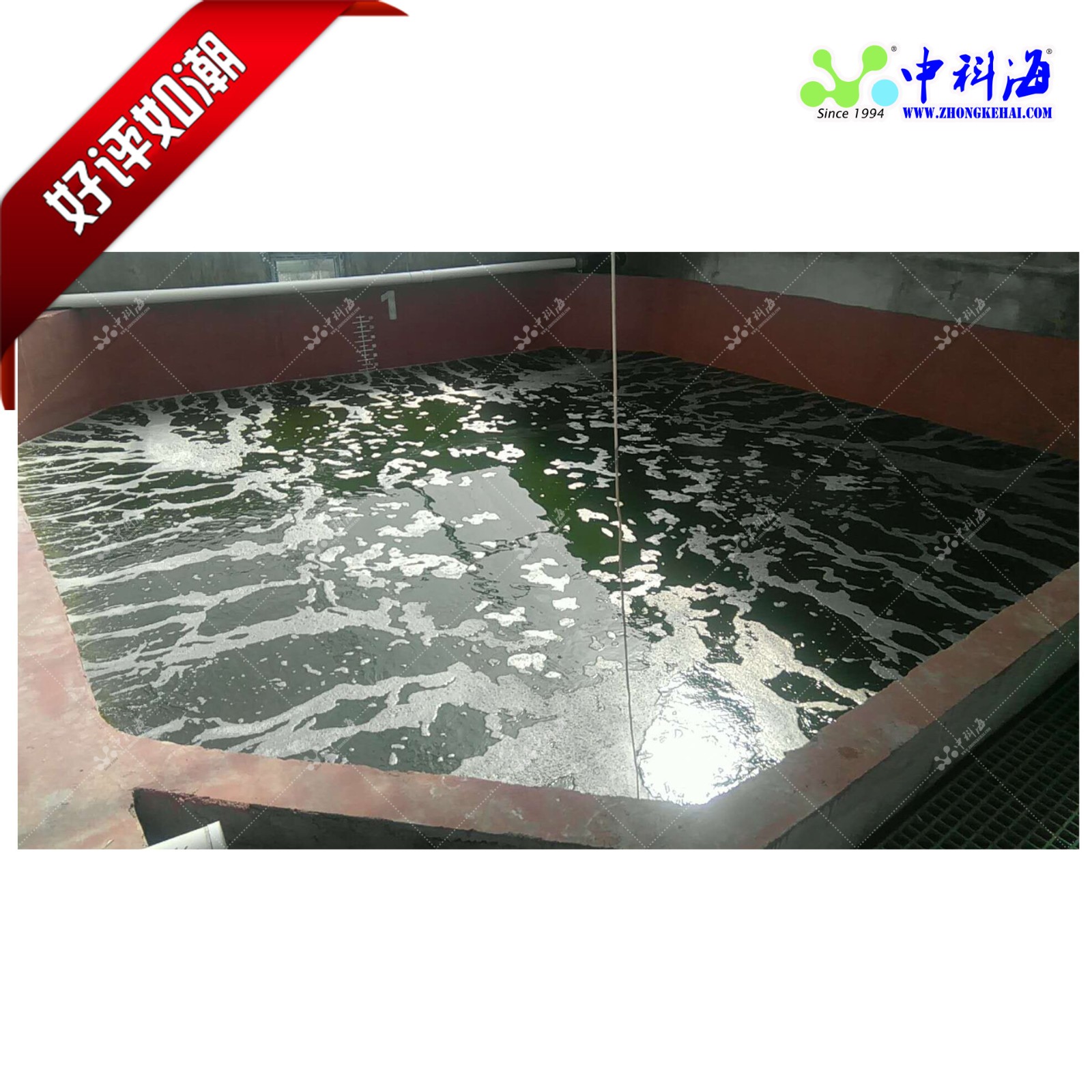 九节虾南美白对虾室内养殖工厂化养殖循环水养殖图3