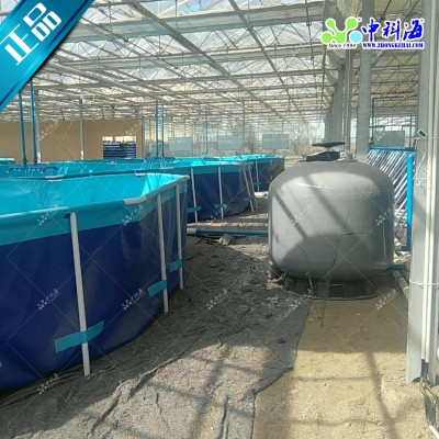 九节虾南美白对虾室内养殖工厂化养殖循环水养殖