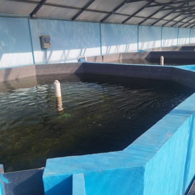 曝气增氧系统水产养殖系统设备室内育苗养殖设备水产增氧曝气