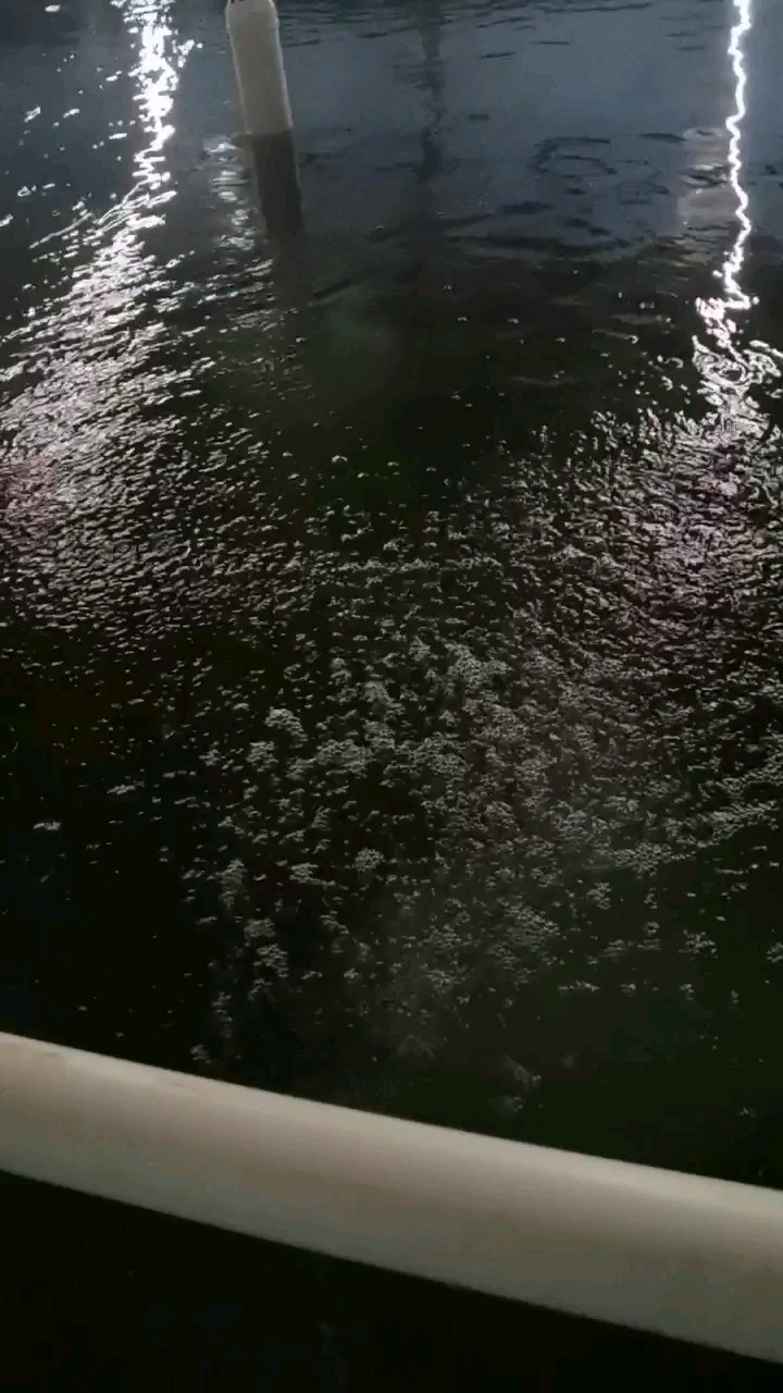 曝气增氧系统水产养殖系统设备室内育苗养殖设备水产增氧曝气图2