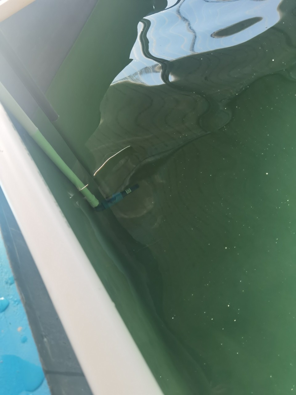 曝气增氧系统水产养殖系统设备室内育苗养殖设备水产增氧曝气图3