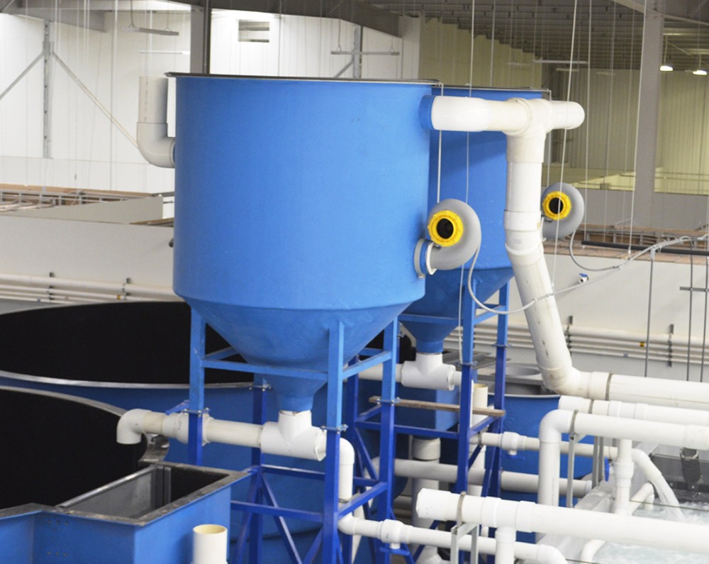 20立方小型ras循环水养殖系统室内吊水实验教学养鱼系统图2