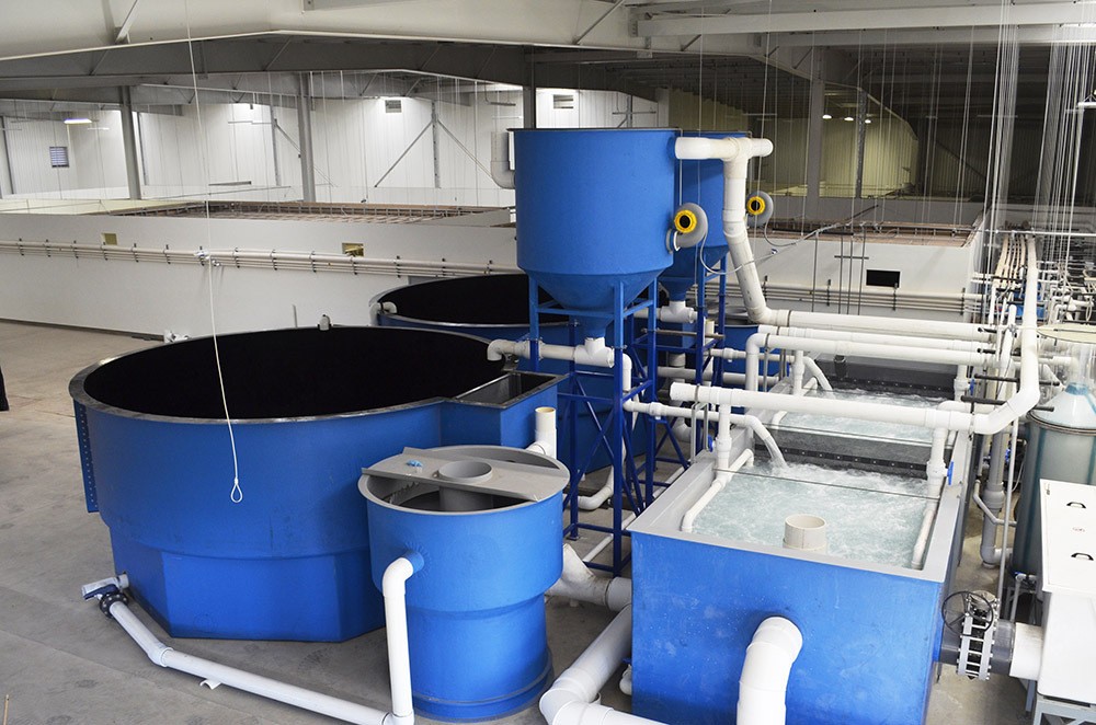 20立方小型ras循环水养殖系统室内吊水实验教学养鱼系统图3