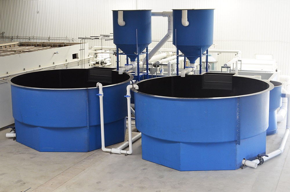 20立方小型ras循环水养殖系统室内吊水实验教学养鱼系统图4