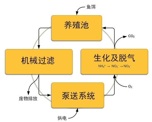 20立方小型ras循环水养殖系统室内吊水实验教学养鱼系统图5