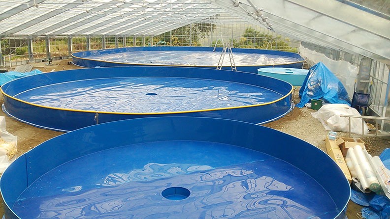 保修2年大型养鱼池 循环水养殖室内工厂化养鱼塑料PP鱼池图3