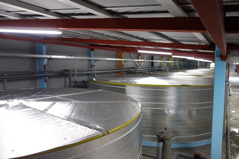 保修2年大型养鱼池 循环水养殖室内工厂化养鱼塑料PP鱼池图5