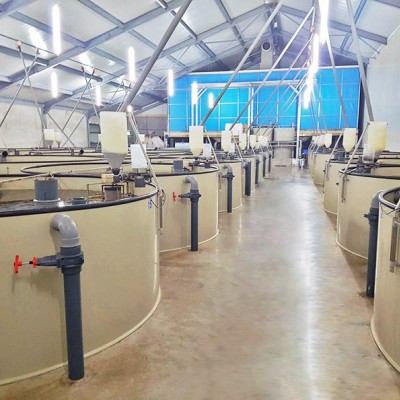 大型养鱼池 循环水高密度养殖室内工厂化养鱼耐腐蚀塑料PP鱼池