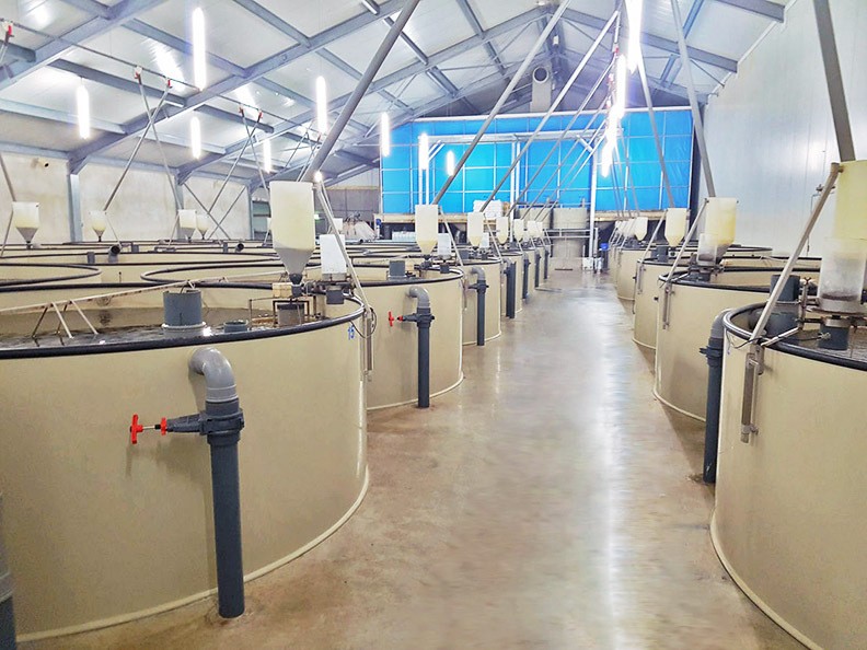 大型养鱼池 循环水高密度养殖室内工厂化养鱼耐腐蚀塑料PP鱼池图5