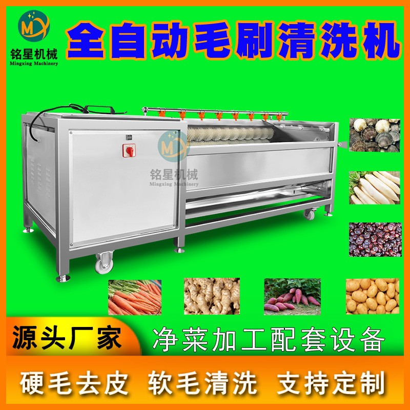 现货全自动芋头去皮清洗机 毛刷土豆去皮机 大型预制菜毛辊脱皮机图4