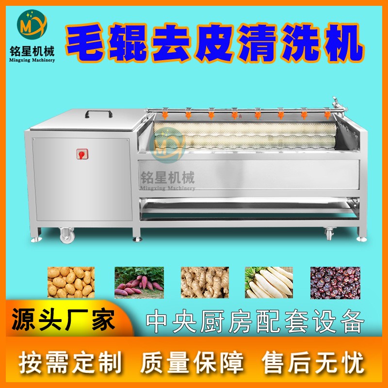 现货全自动芋头去皮清洗机 毛刷土豆去皮机 大型预制菜毛辊脱皮机图5