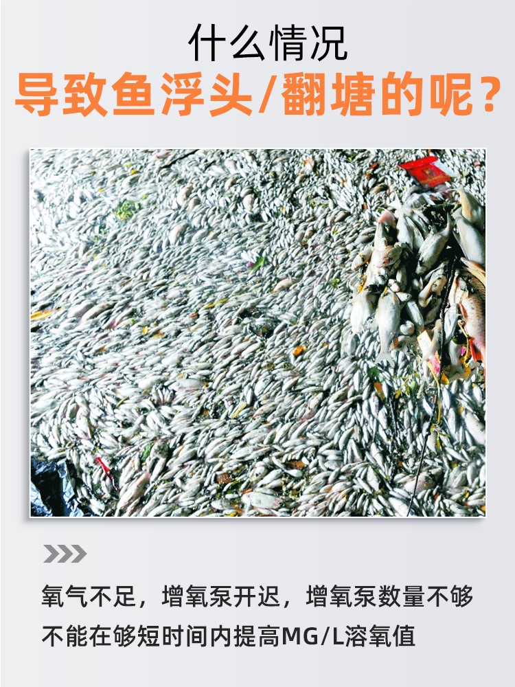 鱼大大溶氧仪实时水质检测仪鱼塘水产养殖氧含量检测溶解氧测定仪图2