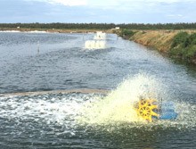 金湖龙水车式增氧机大型养殖鱼塘曝气涌浪变频扒水多叶轮充增氧泵图2