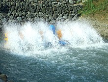 金湖龙水车式增氧机大型养殖鱼塘曝气涌浪变频扒水多叶轮充增氧泵图4