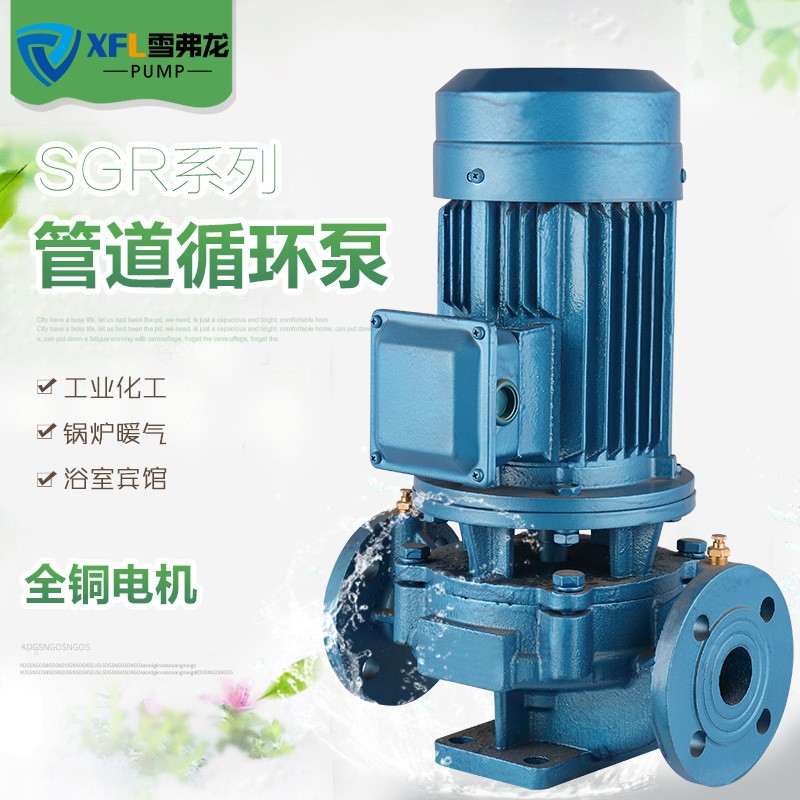 厂家直销 单相SG/SGR小微型热水立式管道泵 1.5寸750W丝口管道泵图5