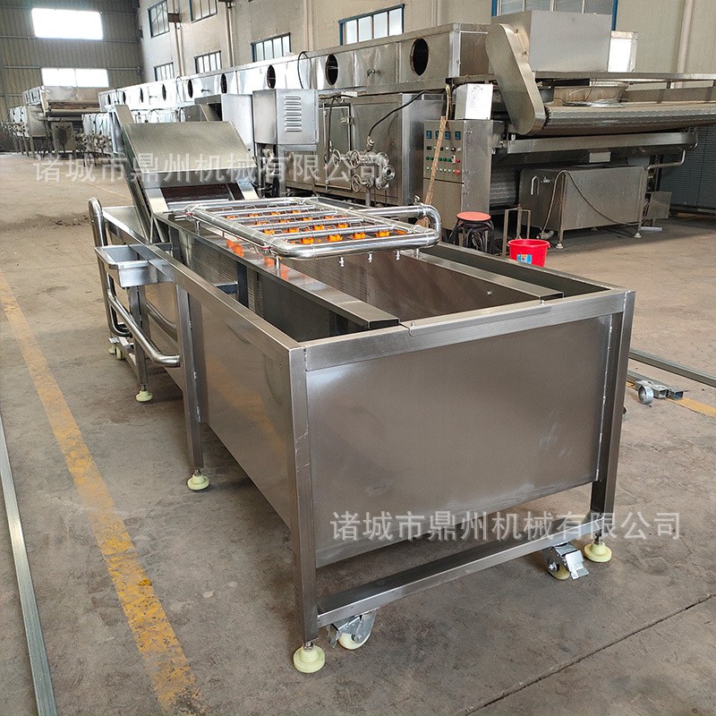全自动净菜加工成套设备 果蔬气泡清洗机 瓜果西红柿去泥清洗机图4