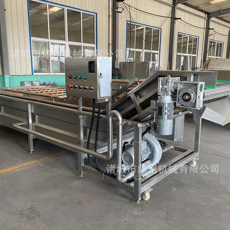 全自动净菜加工成套设备 果蔬气泡清洗机 瓜果西红柿去泥清洗机图5