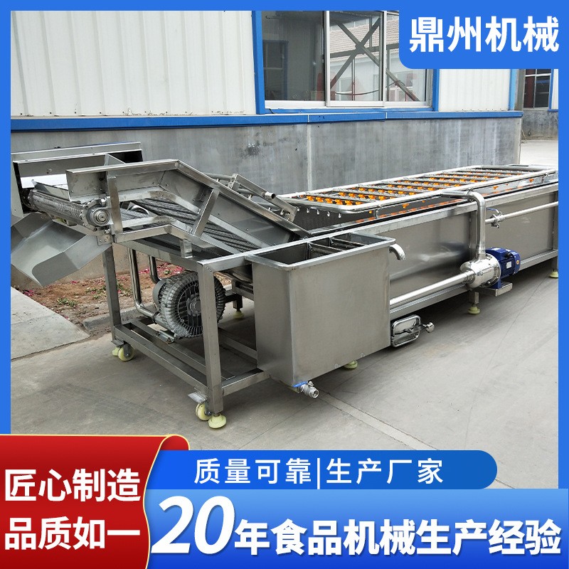 全自动净菜加工成套设备 果蔬气泡清洗机 瓜果西红柿去泥清洗机图3