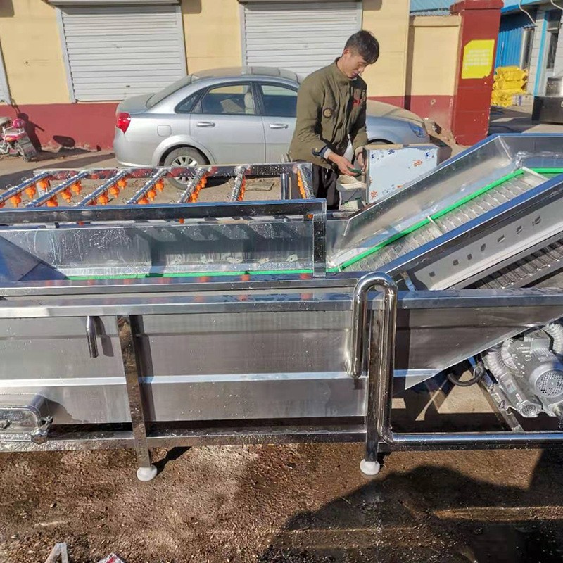 厂家果蔬清洗机 大枣辣椒气泡喷淋清洗机 洗菜机气泡清洗机图5