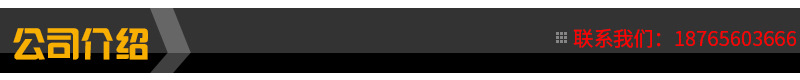 公司介绍