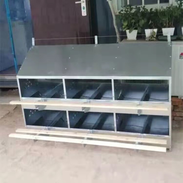 厂家批发12穴加厚产蛋箱 平养鸡用产蛋箱 鸡舍产蛋箱产蛋穴养殖用图2