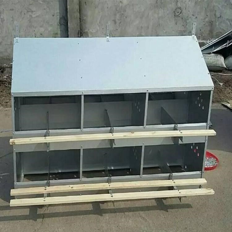 厂家批发12穴加厚产蛋箱 平养鸡用产蛋箱 鸡舍产蛋箱产蛋穴养殖用图3