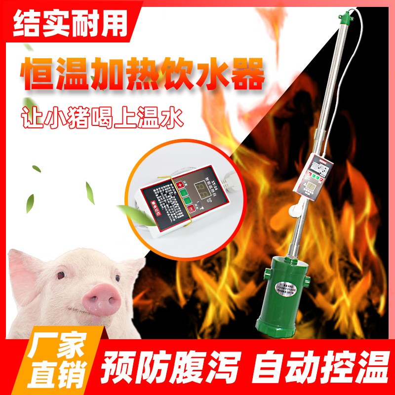 养殖场温水器恒温饮水器小猪养猪畜牧自动电热水器猪用加热饮水器图2