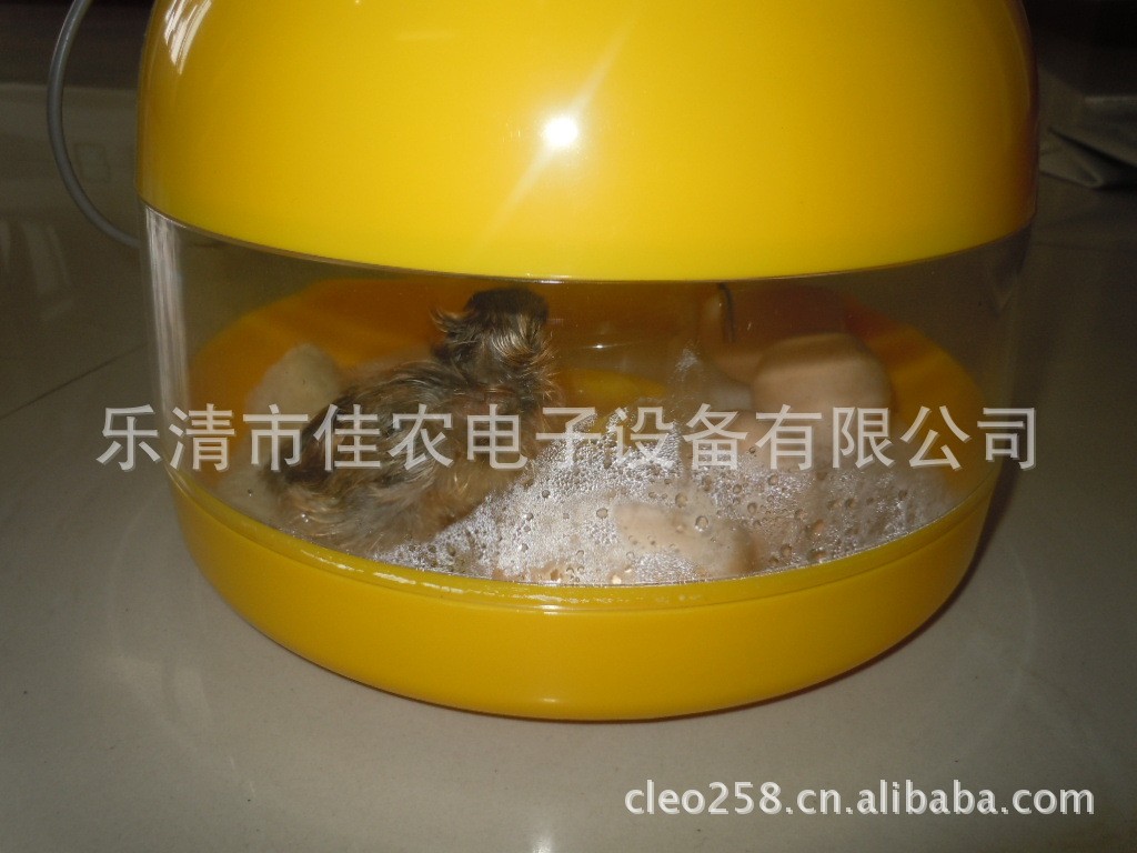 佳农牌高级科教孵化器图5