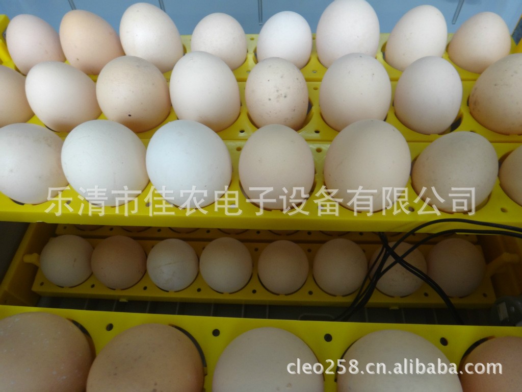 佳农96枚JANOEL96全自动孵化机图3